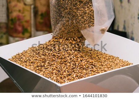 Stock fotó: Men With Malt Bags And Mill At Craft Beer Brewery