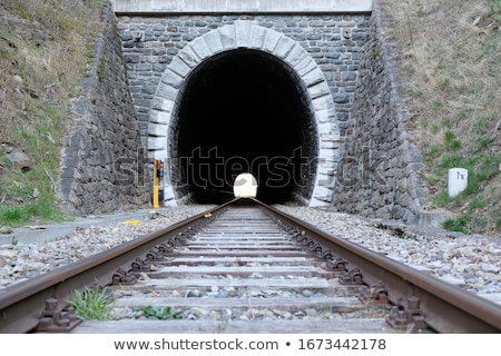 [[stock_photo]]: Train In Tunnel