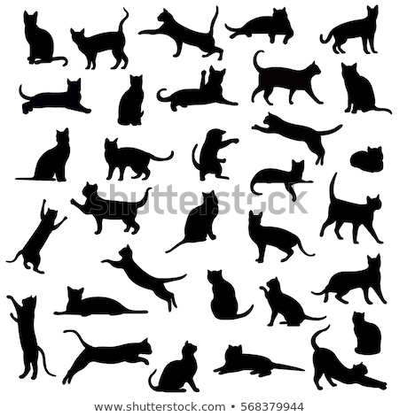 Cats Silhouettes Stok fotoğraf © cammep