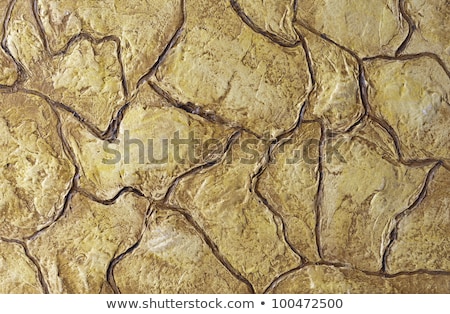 Stock photo: Grunge Colorfull Exposed Concrete Wall Texture