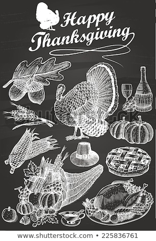 Foto stock: Thanksgiving Day Cornucopia And Turkey Chalkboard Illustration