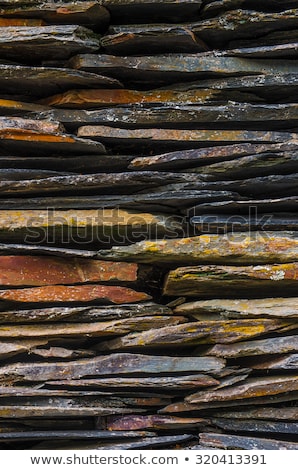 Zdjęcia stock: Dark Schist Blades