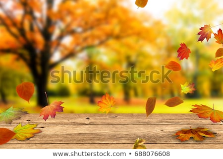 Stockfoto: Oktoberfest Mood