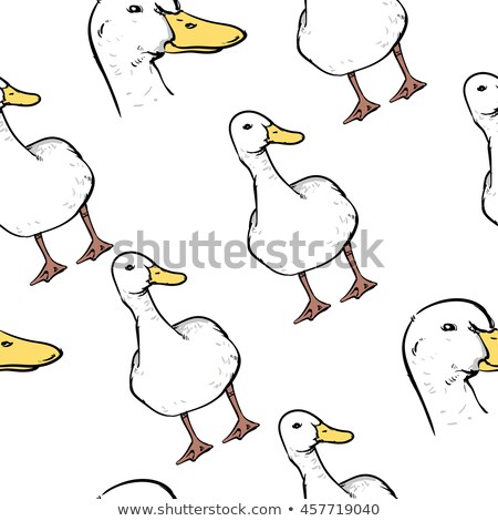 Stock photo: Drake Duck Pattern Seamless Waterfowl Bird Background Vector I