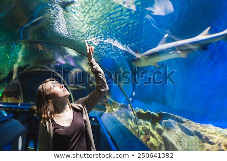 Stock photo: Young Woman Looking At Fish In A Tunnel Aquarium