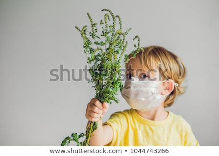 Foto stock: The Boy Is Allergic To Ragweed In A Medical Mask He Holds A Ragweed Bush In His Hands Allergy To