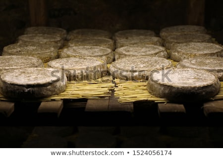 Stock photo: Traditional Auvergne Cheese