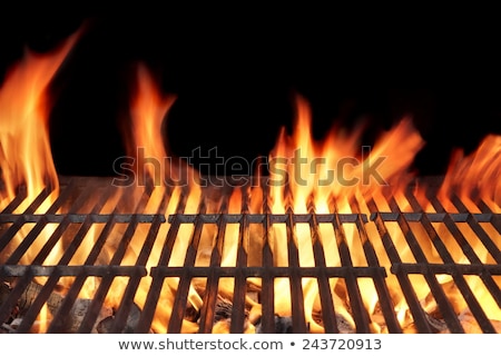 Stockfoto: Barbecue Fire Grill Close Up