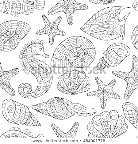 Foto d'archivio: Vector Seamless Pattern With Colorful Shells Ornament With Seashells