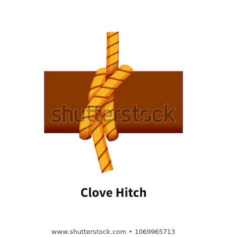 Stock fotó: Clove Hitch Sea Knot Bright Colorful How To Guide On White