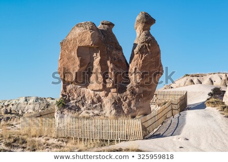 Imagine de stoc: Camel Rock In Turkey