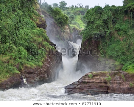 Raging Torrent At Murchison Falls Stock fotó © PRILL