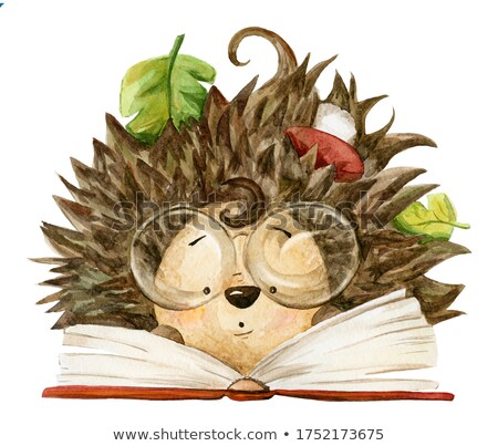 Stock photo: Clever Hedgehog