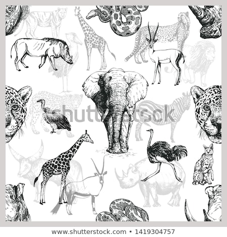 Stockfoto: Seamless Background With Wild Animals