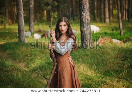 Stockfoto: Beauty In Medieval Dress