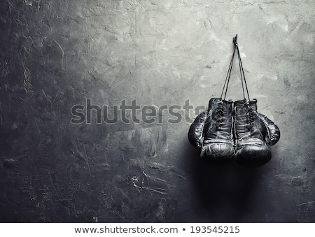 Zdjęcia stock: Training On Boxing Ring