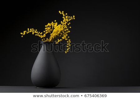 Foto stock: Black Vase And Flower