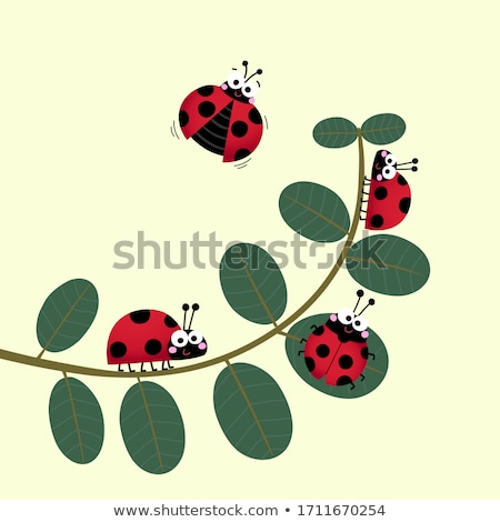 Ladybird Beetle [[stock_photo]] © Shutterstock