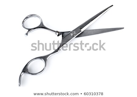 Professional Haircutting Scissors Studio Isolation On White Foto d'archivio © szefei