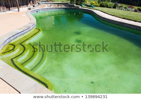 ストックフォト: Filthy Backyard Swimming Pool And Patio