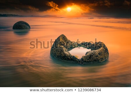 [[stock_photo]]: uf · de · dragon · de · l'océan