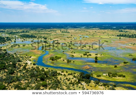 Stock photo: Okavango Delta