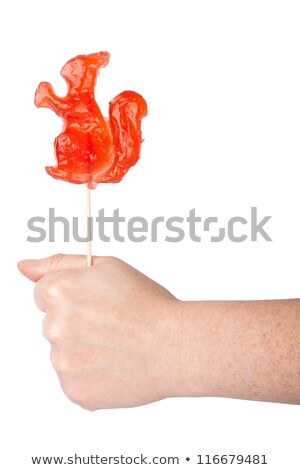 Hand Holding Squirrel Shape Lollipop Сток-фото © Taigi