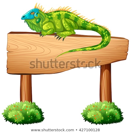 Stock fotó: Iguana Sitting On The Wooden Sign