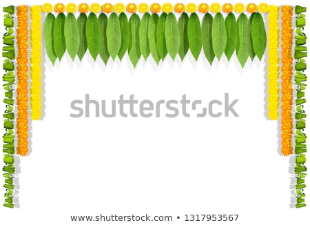 Сток-фото: Indian Orange Flower Garland Mala Frame Isolated On White