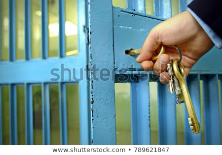 Zdjęcia stock: Jail Cell With Open Door And Bunch Of Keys