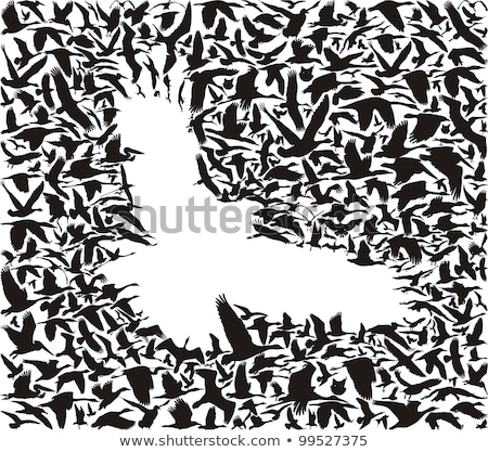 [[stock_photo]]: Set Of Eagles Pattern