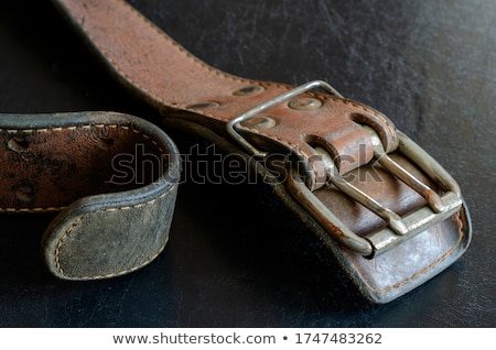 Zdjęcia stock: Vintage Ammunition Belt