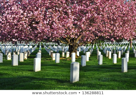 Zdjęcia stock: Civil War Memorial In Arlington Cemetery