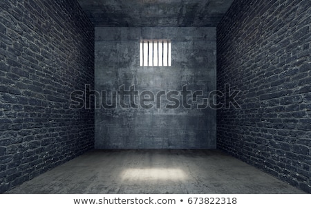 Stok fotoğraf: Prison Cell Block