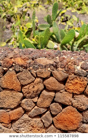 Foto stock: Lanzarote La Guatiza Masonry With Volcanic Stones