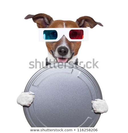 Zdjęcia stock: Movie Film Canister 3d Glasses Dog