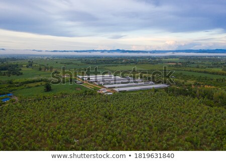 Stock fotó: Aerial View At Farm Fields In Front Of Misty Mountains