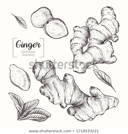 Stock foto: Ginger Medicine