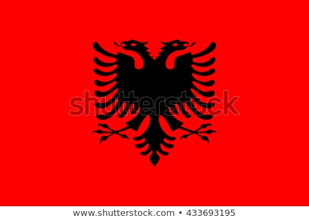 Foto stock: Vector Flag Of Albania