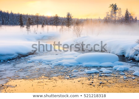 Stock fotó: Blizzard Winter Landscape At Frozen Lake