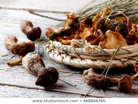 Stock photo: Arrangement Of Dried Mushrooms