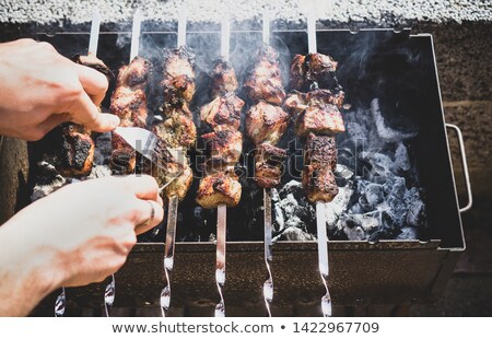 Stockfoto: Smoky Grilled Marinated Meat Skewers Chicken