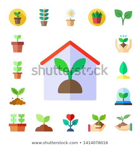 Foto stock: Sprout Flat Icon