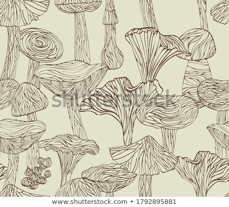 Foto stock: Mushroom Hand Drawn Vector Line Art Illustration On Brown Background