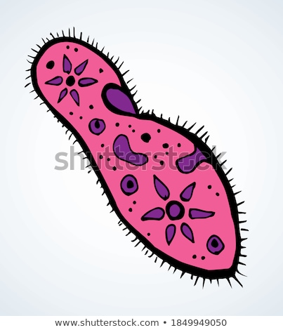 Stok fotoğraf: Microbiology Infusoria Icon