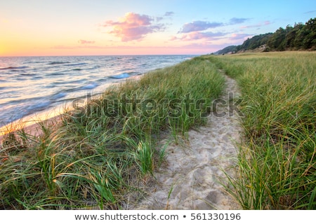 Stock fotó: Lake Michigan Sunrise