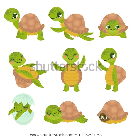 Zdjęcia stock: Turtle Cartoon