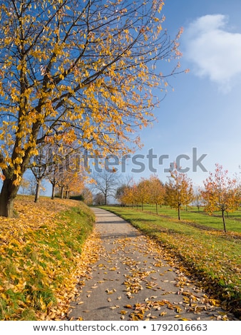 Stock fotó: Rural Scene