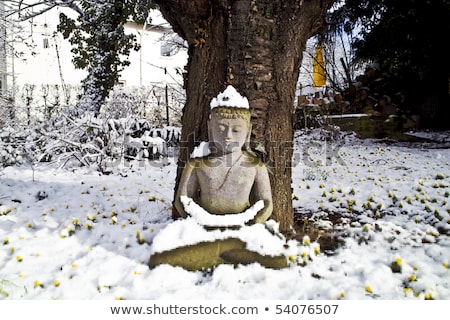 [[stock_photo]]: Buddha Statue Meditation In Winter And Snow In Front Of A Cherry