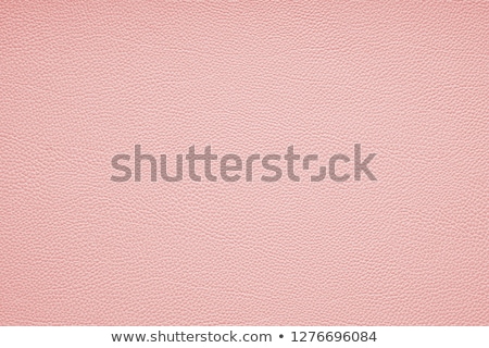 Foto d'archivio: Pink Leather